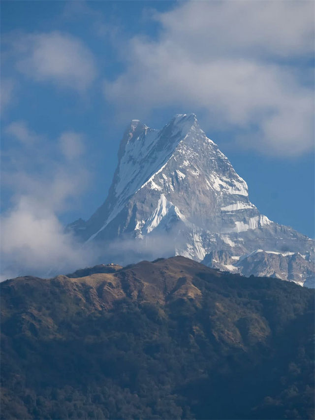 4月初假期布恩山7天行，高山杜鵑末班車