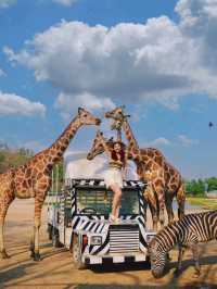 Bangkok Safari Park 🏜️｜Golden Hour in Bangkok