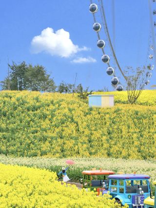 I'm so jealous of people in Yibin!! They have such a beautiful Monet Garden.