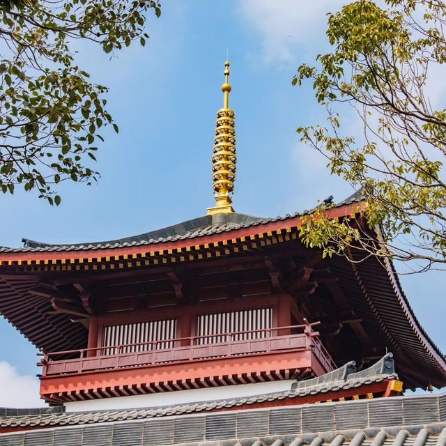 深圳大華興寺 | 拜過四面觀音，才懂什麼叫佛光普照🙏✨