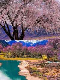 00後寶媽旅遊攻略來啦