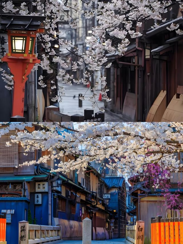 Complete Guide to Cherry Blossom Viewing in Kansai, Japan 🌸