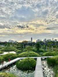 花影流轉——班嘉詩麗皇后公園與四面佛之旅