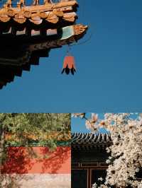 看見好時光~~《頤和園》