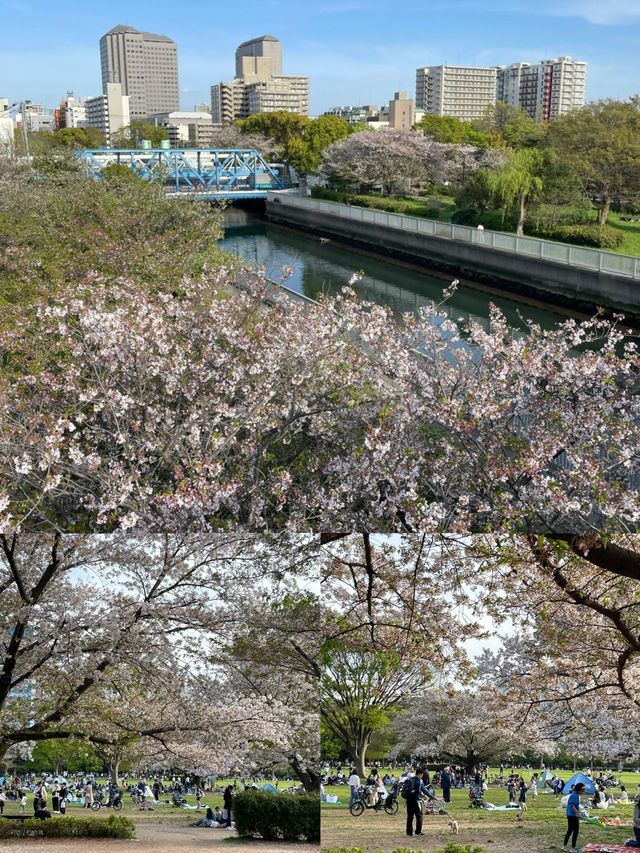 日本小松