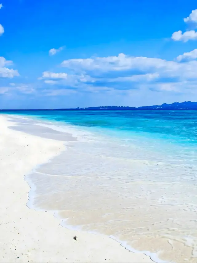 7-Day In-Depth Japan Tour: A Comprehensive Guide for a Smooth Trip