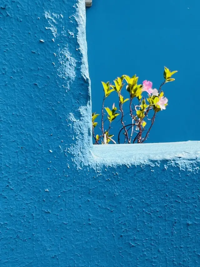 10-Day South Africa Trip During Qingming Festival, Are You In?