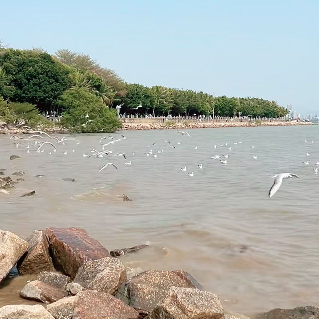 兩日深圳旅遊/望海行山篇
