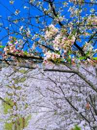 福州百林公園遊玩攻略