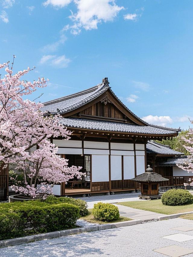 奈良櫻花四日遊：古都賞櫻全攻略
