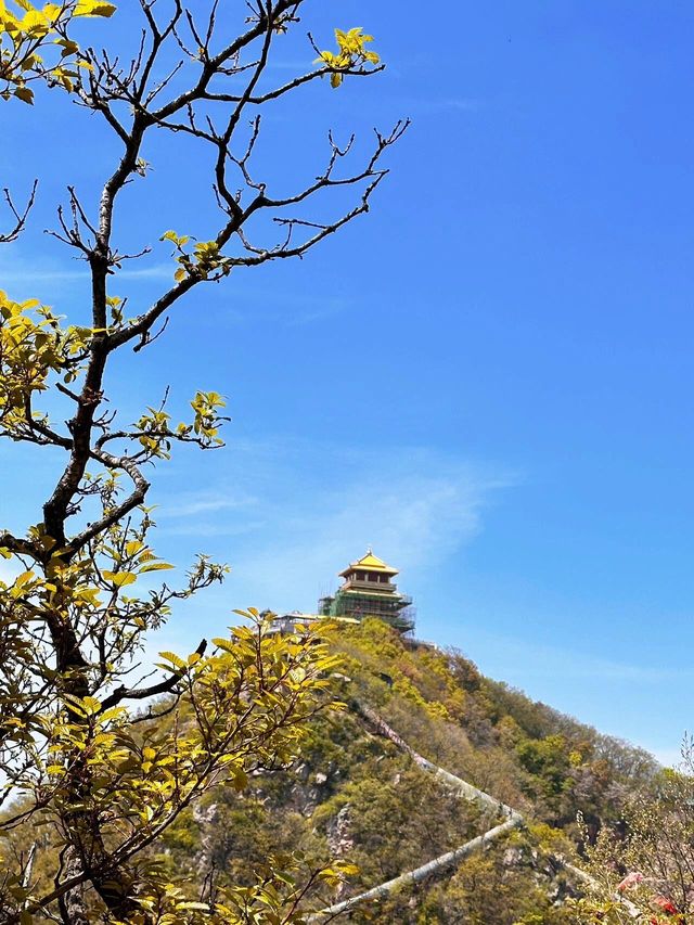 速衝，唔使逼！王屋山體驗超正