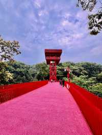 深圳最美的虹橋公園！！