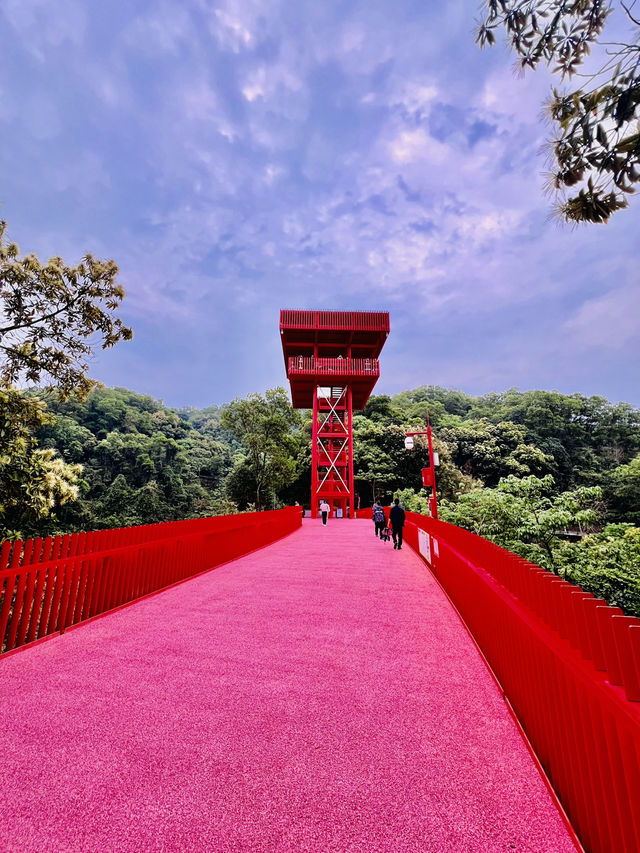 深圳最美的虹橋公園！！
