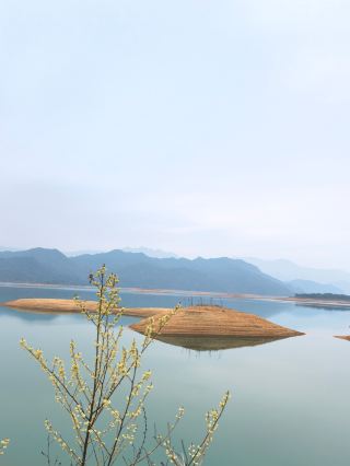 5-day Guangdong road trip: Hot springs, gourmet food, and flower viewing