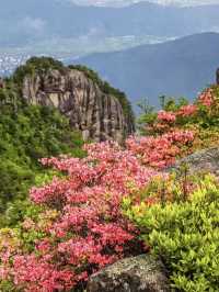安徽出遊｜賞花一日遊必備攻略！-