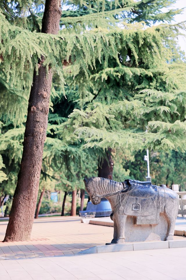 鄭州碧沙崗公園｜春日精選｜紫藤花海與百年歷史的浪漫邂逅