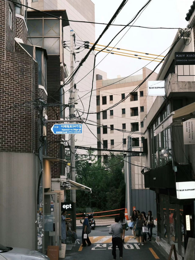 汝矣島賞櫻攻略：漫步粉色花海的浪漫之旅