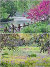 4–6 月出遊必去的 4 大城市