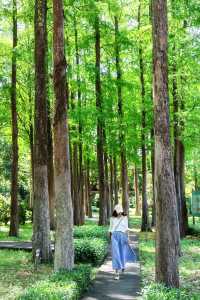 人少好拍在廣州我想去無數次的寶藏公園