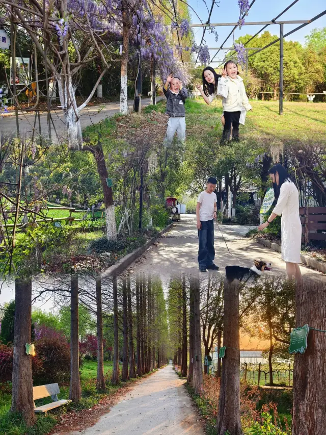 대명 사원 티켓 할인, 운영 시간, 후기 [2025년] | Trip.com