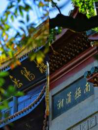 五一單飛可以去哪？這3個神仙城市我跪謝！