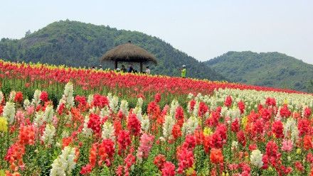 四月杭州，景美、食香、住得安心嘅寶藏攻略