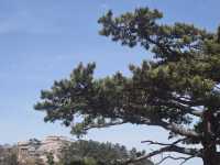 去了4次華山，終於玩明白了。