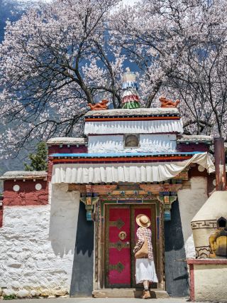Compared to Sosong Village, I prefer this less crowded and free Peach Blossom Village!