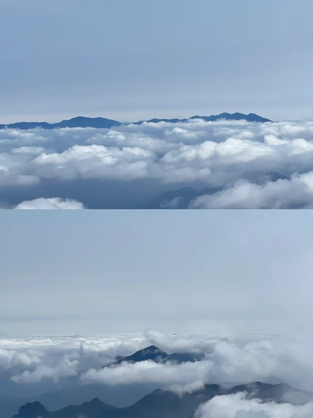 探秘福建金饶山：隱藏在大山深處的絕美風光