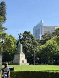 시드니 피크닉 명소 알려드릴게요🇦🇺