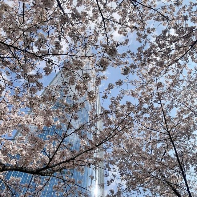 首爾月記｜在浪漫之都收穫滿滿幸福的30天🌸 
