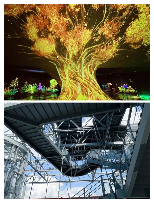 上海必去！呢個公園承包你所有快樂！