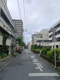 Discover Naha, Okinawa: A Tropical Paradise of Culture, History, and Adventure