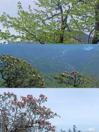 四川省眉山市著名景点：瓦屋山風景區，適合觀光旅遊、度假休閒等！