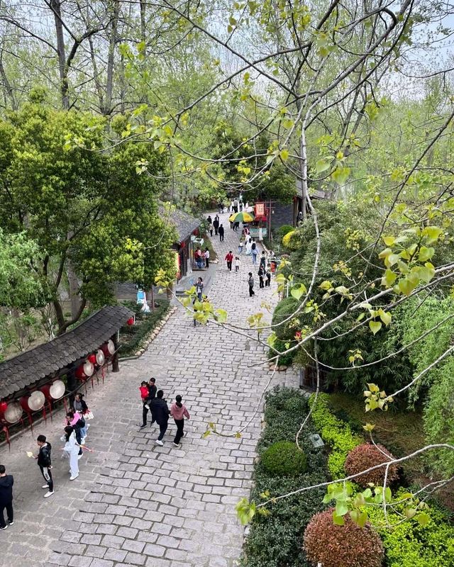 探索合肥「天然氧吧」，邂逅城市裡的綠野仙蹤