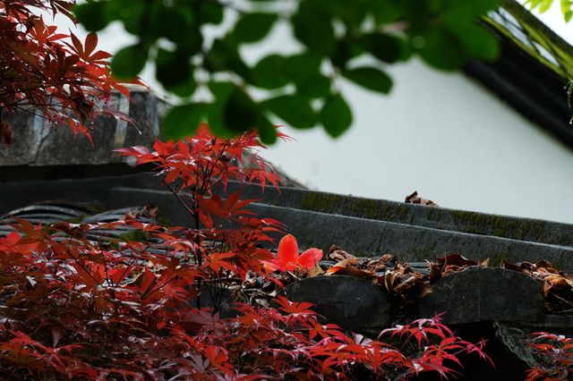 清明建築博物館–三坊七巷