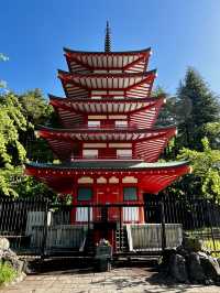 A Day with Fuji
