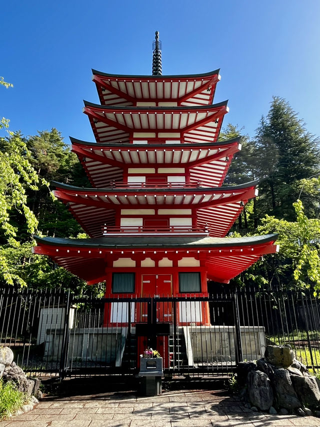 A Day with Fuji