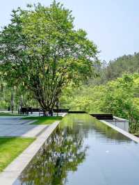 逃離城市計劃安吉悅榕莊端午竹林
