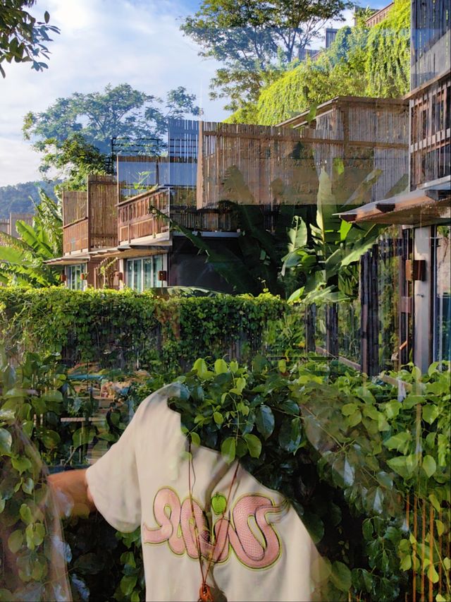住在泰國｜普吉島·洲至奢選酒店