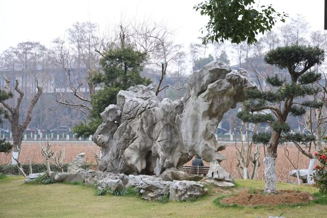 尋香東湖畔，探秘武漢小梅嶺花漾世界