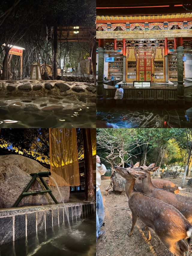 觀唐溫泉國際度假村