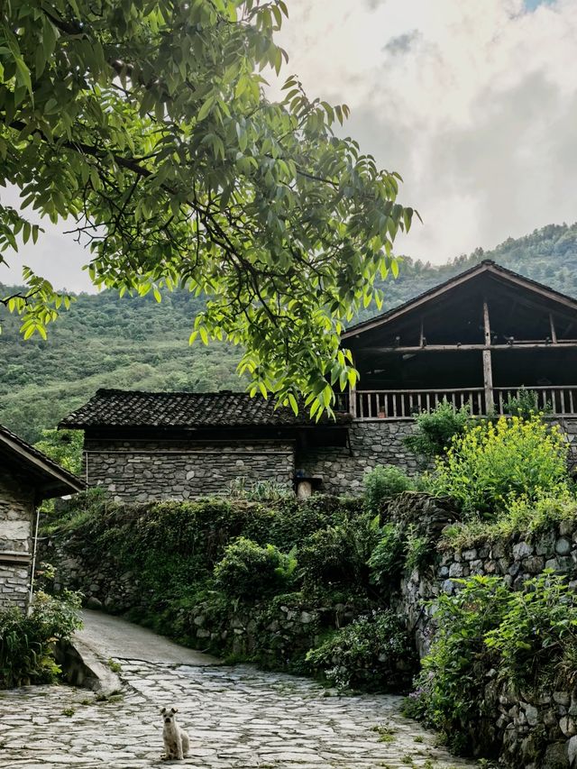 一間住落好舒服嘅山間民宿