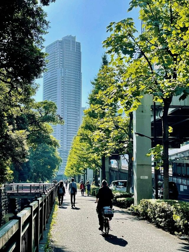 濱離宮恩賜庭園交通攻略：輕鬆抵達東京臨海庭園  