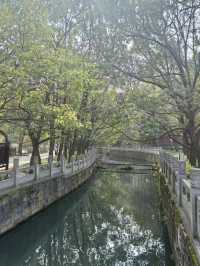 當陽玉泉寺：千年古剎嘅禪意秘境