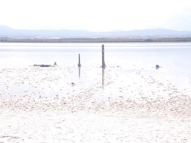 塞浦路斯拉納卡鹽湖