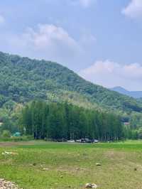 合肥1小時直達︱合肥人的「小川西」