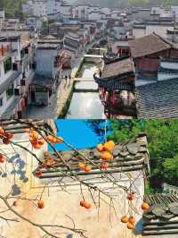 婺源話走就走！快啲嚟旅行啦！！