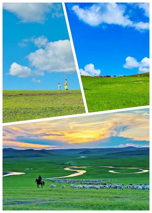 呼倫貝爾旅行｜6日5夜超詳細攻略