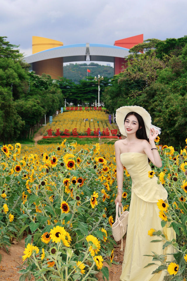 福田中心區向日葵公園 | 邂逅滿分鬆弛感的夏日